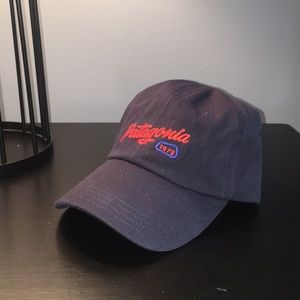 Patagonia Navy Adjustable Hat